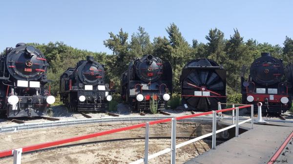 Çamlık Açıkhava ve Tren Müzesi | İzmir Selçuk Transfer