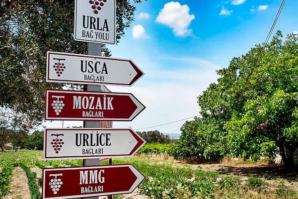 Daily Urla Tour