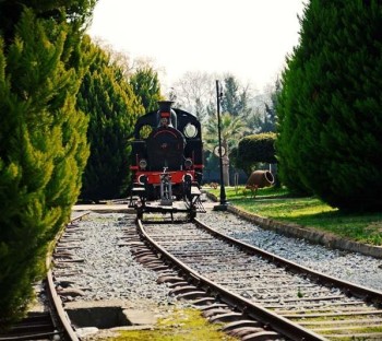 Çamlık Open Air and Train Museum | Izmir Selcuk Transfer