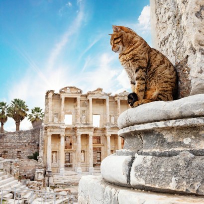 Seven Churches of Revelation - 15 - 22 May, 2026 