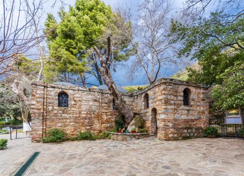 Full-Day Guided Ephesus Tour from Izmir Port