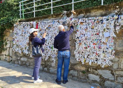 Full-Day Guided Ephesus Tour from Izmir Port