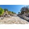 Unearthing Grandeur: Your Essential Guide to Visiting Ancient Ephesus