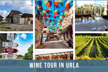 Wine Tour in Urla